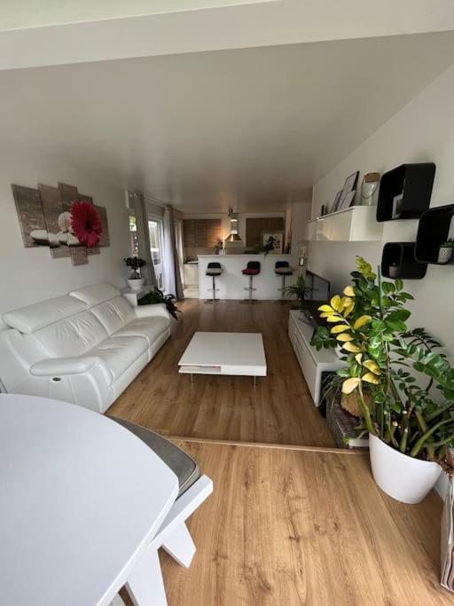 Appartement 55 M2 Le Chesnay เลอเชอส์เนย์ ภายนอก รูปภาพ